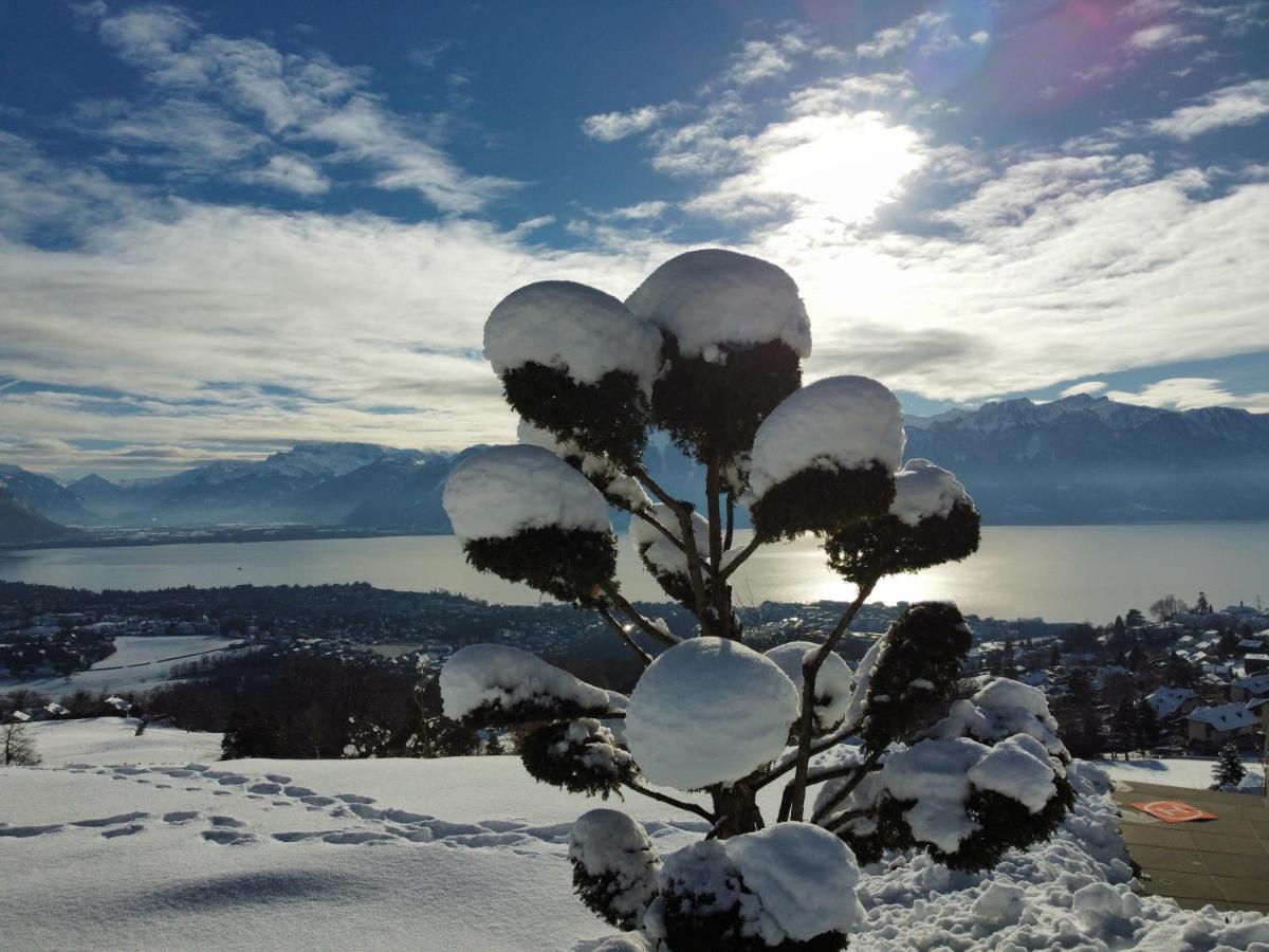 Appartement Moderne Avec Vue Panoramique A Jongny Proche De Montreux 外观 照片